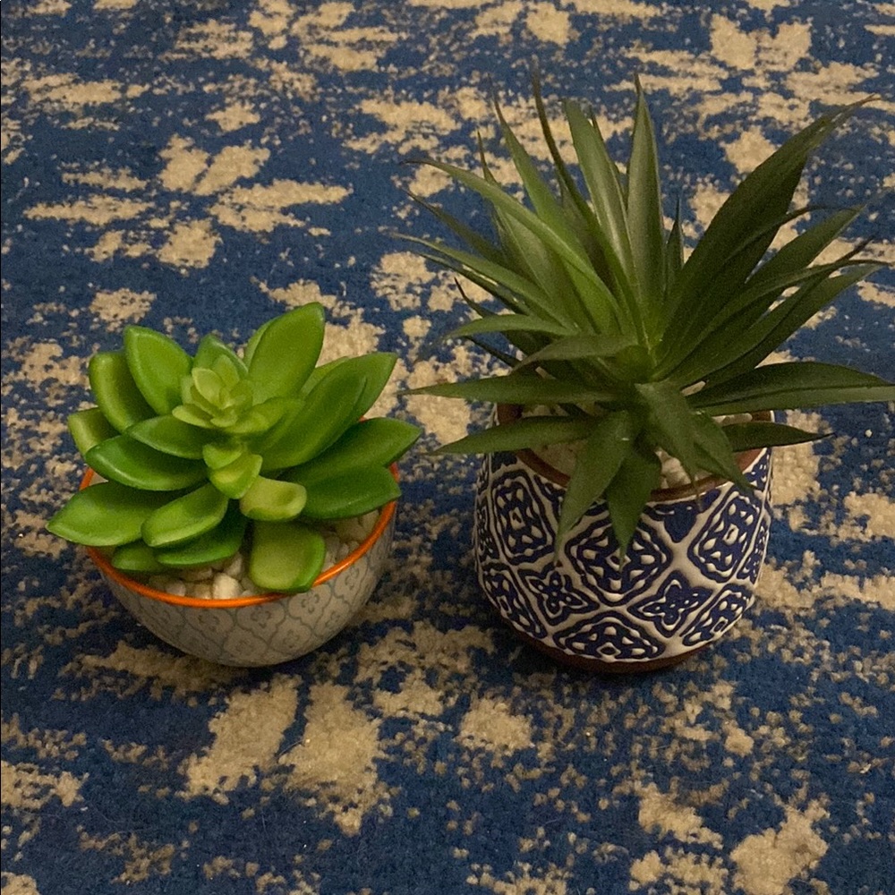 2 mini faux succulents